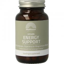 Energy support