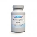 Pompoenpitolie 1000mg