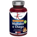 Maitake & chaga