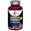 Shiitake & reishi