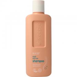 Shampoo repair and care