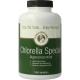 Chlorella