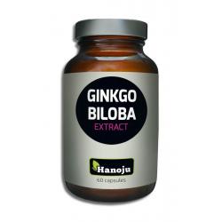 Ginkgo biloba extract 400 mg