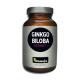 Ginkgo biloba extract 400 mg