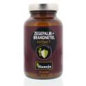 Zegepalm & brandnetel extract