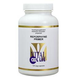 Reporphyne primer