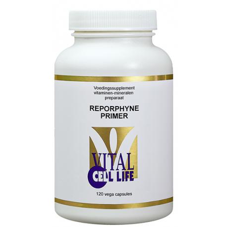 Reporphyne primer