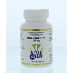 Molybdenum 250 mcg