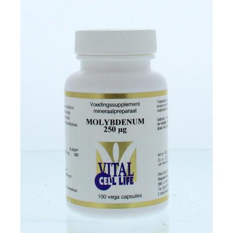 Molybdenum 250 mcg