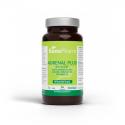 Ginseng complex v/h Adrenal plus wholefood