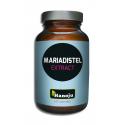 Mariadistel extract