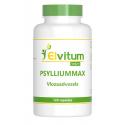 Psylliummax vlozaadvezels