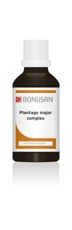 Plantago major complex