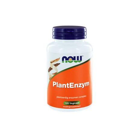 Plant enzymes