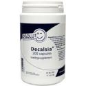 Decalsia