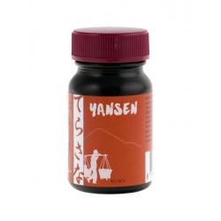 Yansen dandelion wortelextract