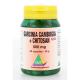 Garcinia cambogia chitosan 500 mg puur