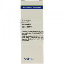 Alchemilla vulgaris D6