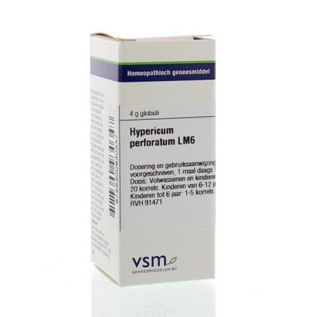 Hypericum perforatum LM6