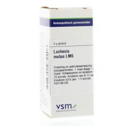 Lachesis mutus LM6