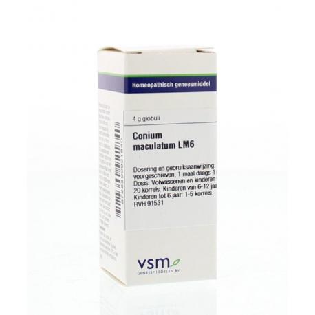 Conium maculatum LM6