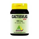 Cactusvijg 500 mg puur