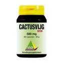 Cactusvijg 500mg puur