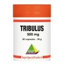 Tribulus terrestris 500mg