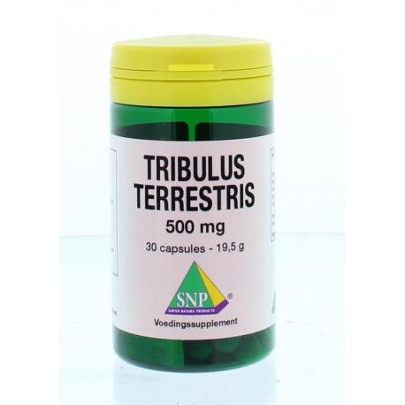 tribulus terrestris 500mg