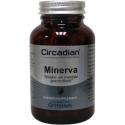 Minerva