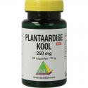 Plantaardige kool 250mg puur