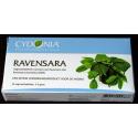 Ravensara intiem vagina