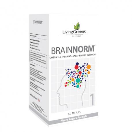 Brainnorm