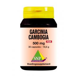 Garcinia cambogia 500 mg puur