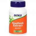 Knoflook extract