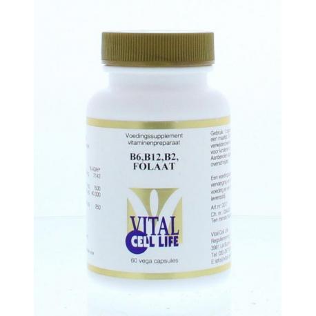 Vitamine B6/B12 foliumzuur
