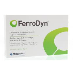 Ferrodyn