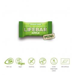 Mini lifebar energiereep appel raw & bio