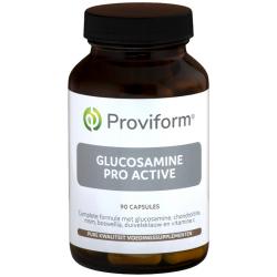 Glucosamine pro active