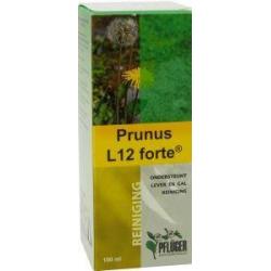 Prunus L12 forte