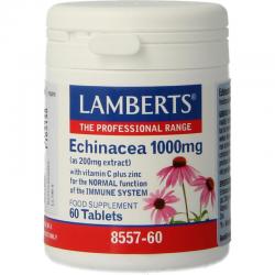 Echinacea 1000 mg