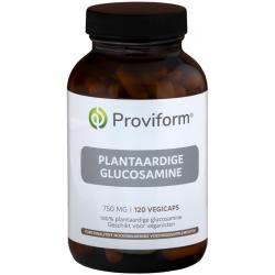 Glucosamine HCL 750 mg