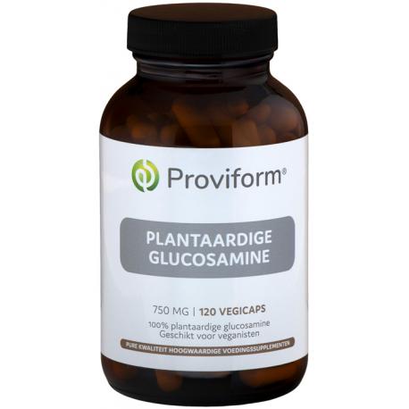 Glucosamine HCL 750 mg
