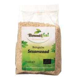 Sesamzaad bio