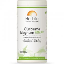 Curcuma magnum 3200 + piperine bio